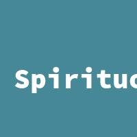 Spirituosen